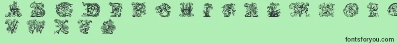 Lime Blossom Caps Font – Black Fonts on Green Background