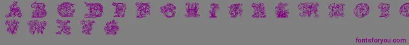Lime Blossom Caps-Schriftart – Violette Schriften auf grauem Hintergrund