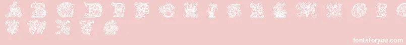 Lime Blossom Caps Font – White Fonts on Pink Background