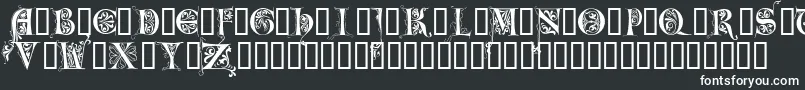 LimeGloryCaps Font – White Fonts on Black Background