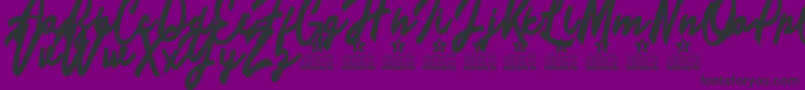 Limousines Personal Use Font – Black Fonts on Purple Background