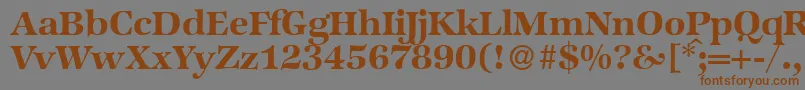 ZabriskieinternationalBold Font – Brown Fonts on Gray Background