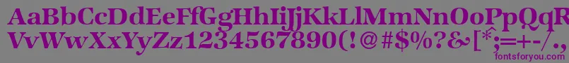 ZabriskieinternationalBold Font – Purple Fonts on Gray Background