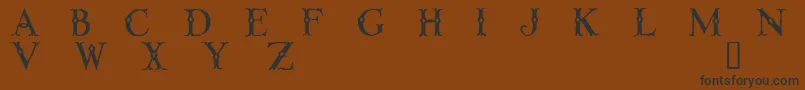 LINTD    Font – Black Fonts on Brown Background