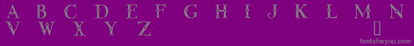 LINTD    Font – Gray Fonts on Purple Background