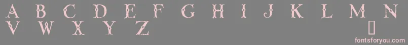 LINTD    Font – Pink Fonts on Gray Background