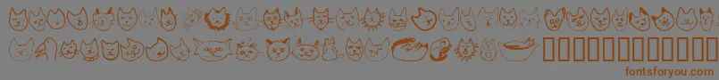 LINUFA   Font – Brown Fonts on Gray Background