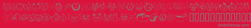 LINUFA   Font – Gray Fonts on Red Background