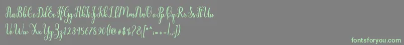 Liontine Script Font – Green Fonts on Gray Background