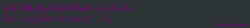 Шрифт Liontine Script – фиолетовые шрифты на чёрном фоне