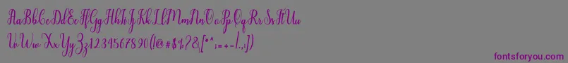 Liontine Script Font – Purple Fonts on Gray Background