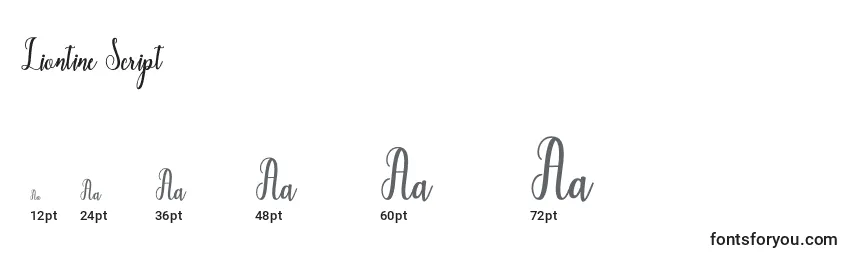 Размеры шрифта Liontine Script