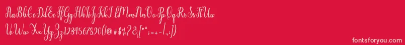 Liontine Script-Schriftart – Rosa Schriften auf rotem Hintergrund