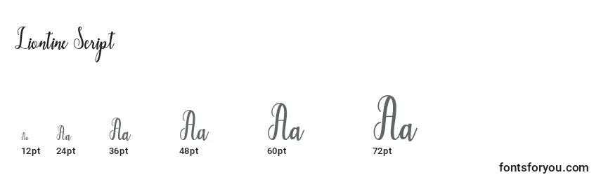 Размеры шрифта Liontine Script (132653)