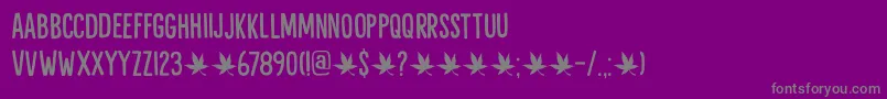 Liquid Amber DEMO Font – Gray Fonts on Purple Background