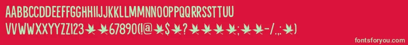 Liquid Amber DEMO Font – Green Fonts on Red Background