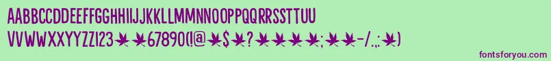Liquid Amber DEMO Font – Purple Fonts on Green Background