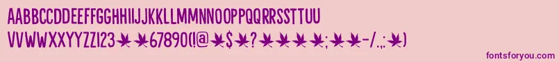 Liquid Amber DEMO Font – Purple Fonts on Pink Background
