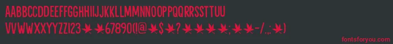 Liquid Amber DEMO Font – Red Fonts on Black Background