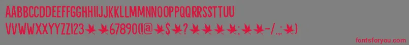 Liquid Amber DEMO Font – Red Fonts on Gray Background