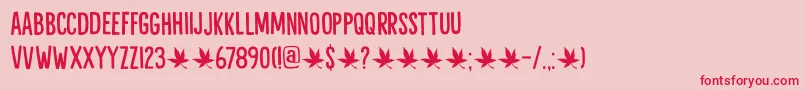 Liquid Amber DEMO Font – Red Fonts on Pink Background