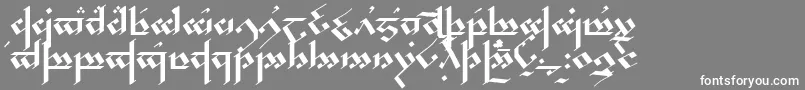 フォントNoldor – 灰色の背景に白い文字