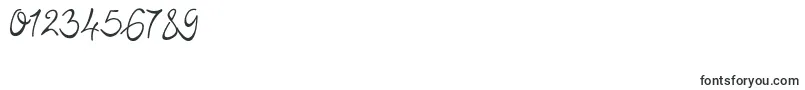 Lisna Regular Font – Fonts for Numbers and Digits