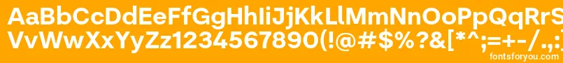 フォントLiteral   Bold Personal use – オレンジの背景に白い文字