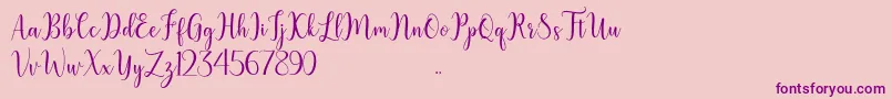 litesha Font – Purple Fonts on Pink Background