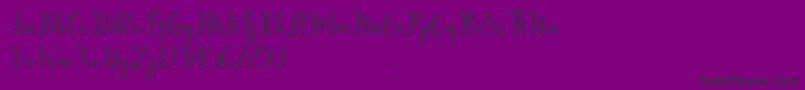 litesha-Schriftart – Schwarze Schriften auf violettem Hintergrund