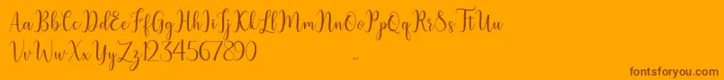 litesha Font – Brown Fonts on Orange Background