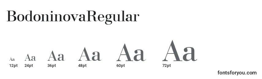 Размеры шрифта BodoninovaRegular