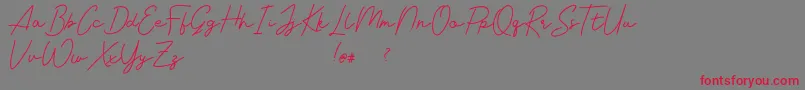 Livvie Signature Font – Red Fonts on Gray Background