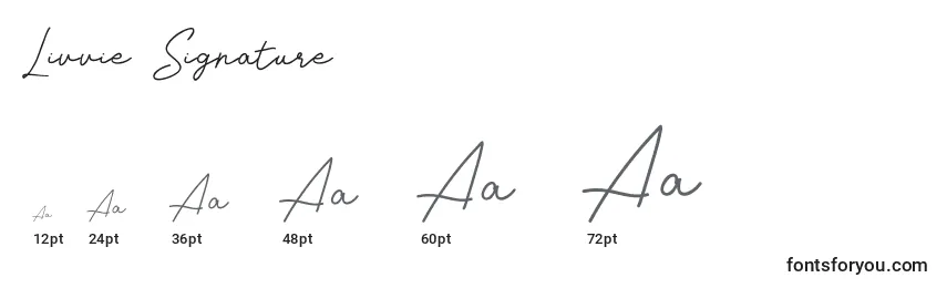 Livvie Signature Font Sizes