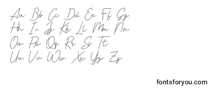 Обзор шрифта Livvie Signature