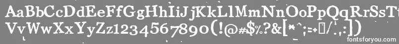 フォントLLCOT    – 灰色の背景に白い文字