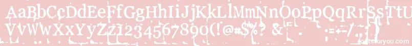 LLPEBL   Font – White Fonts on Pink Background