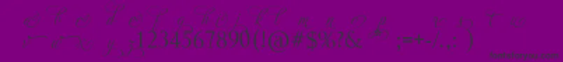AdiosScriptAltIi Font – Black Fonts on Purple Background