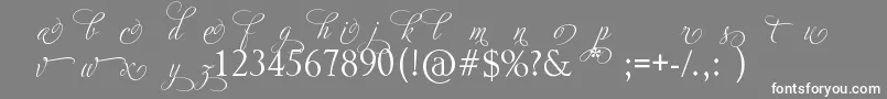 フォントAdiosScriptAltIi – 灰色の背景に白い文字