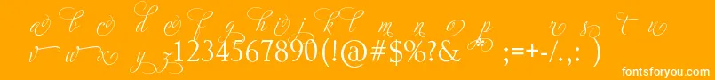 AdiosScriptAltIi Font – White Fonts on Orange Background