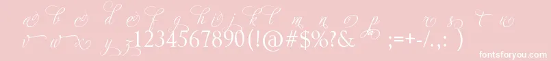 AdiosScriptAltIi Font – White Fonts on Pink Background
