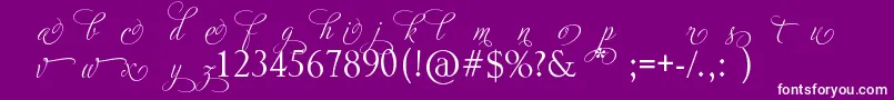 More about AdiosScriptAltIi Font AdiosScriptAltIi Font – White Fonts on Purple Background
