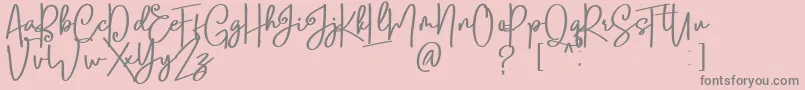 Fonte Lobsters Blush Bold free – fontes cinzas em um fundo rosa