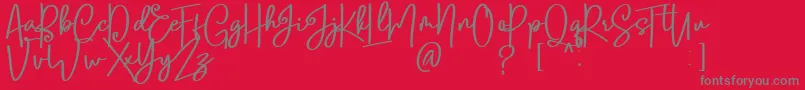 Lobsters Blush Bold free Font – Gray Fonts on Red Background