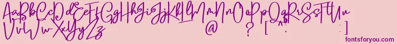 Lobsters Blush Bold free Font – Purple Fonts on Pink Background