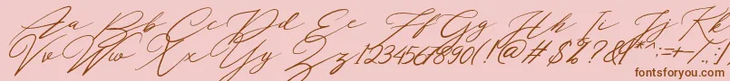 Localghost Font – Brown Fonts on Pink Background