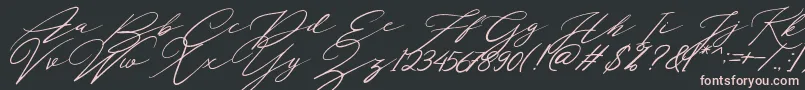 Localghost Font – Pink Fonts on Black Background