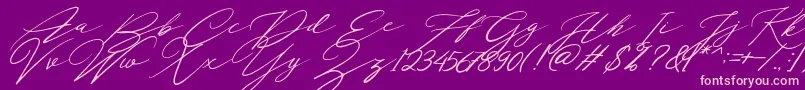 Localghost Font – Pink Fonts on Purple Background
