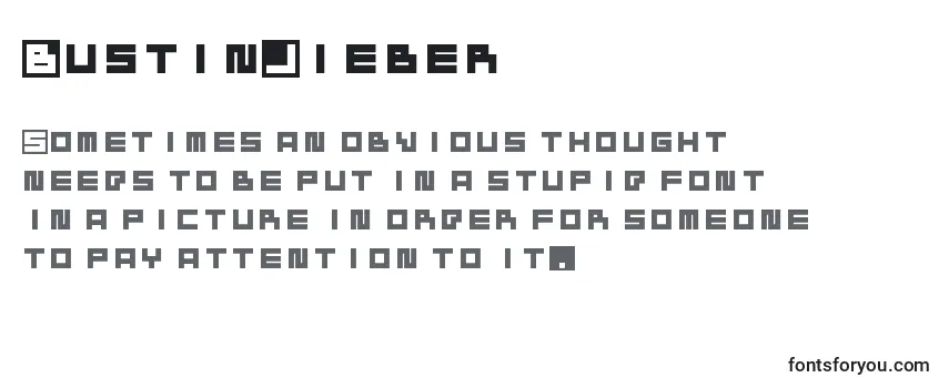 Review of the BustinJieber Font