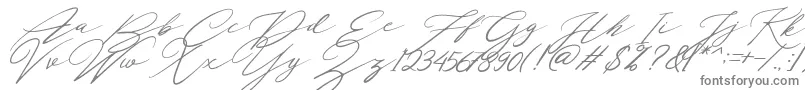 Localghost-Schriftart – Graue Schriften auf weißem Hintergrund